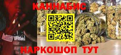 индика Пушкино