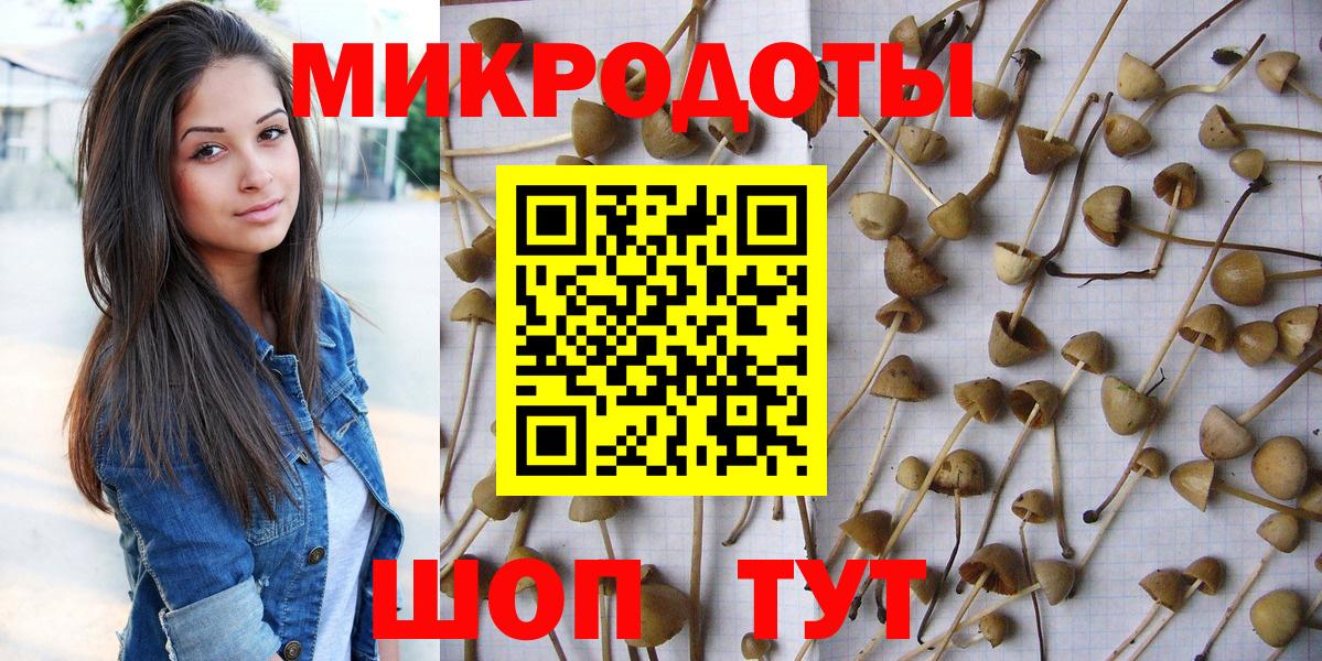 Галлюциногенные грибы Cubensis Советск